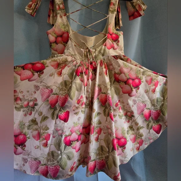 Selkie Strawberry Farmers Market Dress - XL - Picture 3 of 9